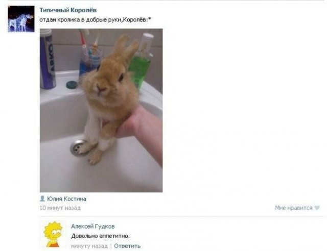 Смешные любители халявы в Интернете (13 фото)