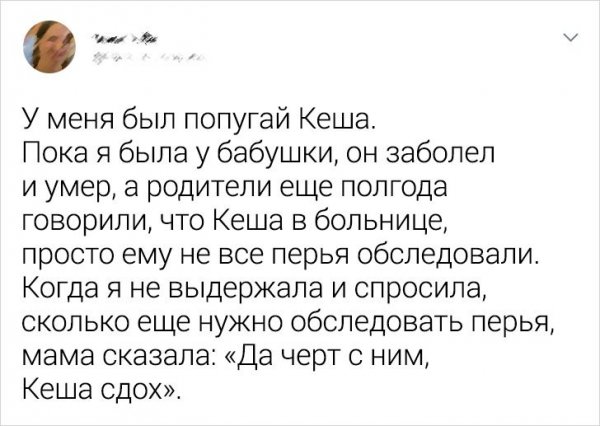Пользователи рассказали, в какие глупости они искренне верили в детстве (27 фото)
