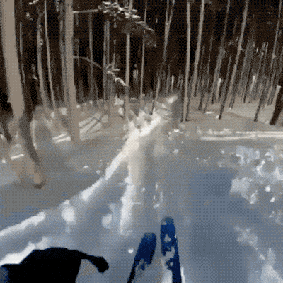 Гифки с эпичными фейлами (15 гифок)