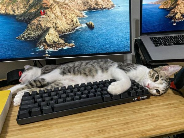 Всемогущая сила ракурса (15 фото) Всемогущая сила ракурса (15 фото)