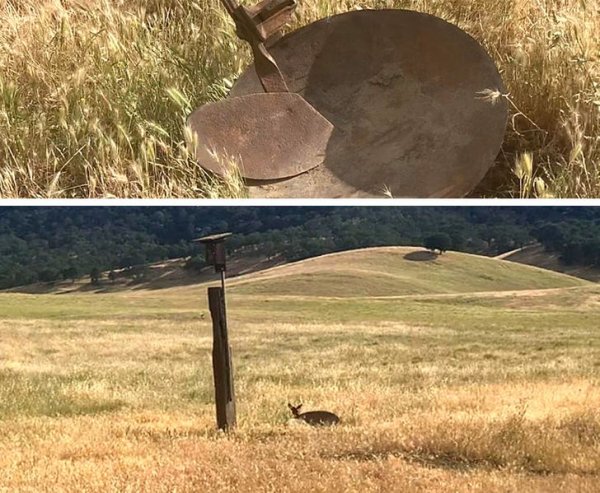 Всемогущая сила ракурса (15 фото) Всемогущая сила ракурса (15 фото)