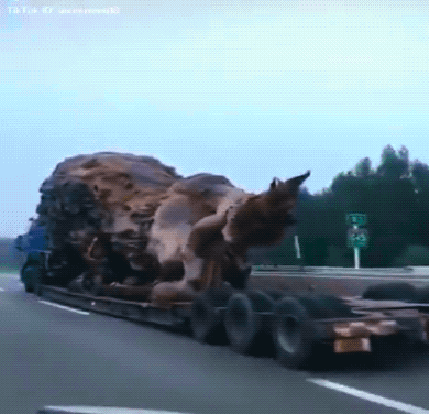 Подборка забавных фейлов и необычных трюков (20 гифок)