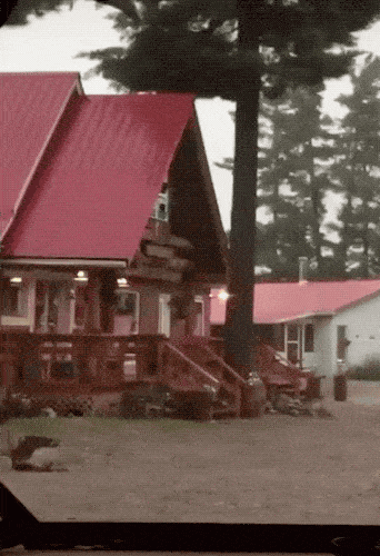 Подборка забавных фейлов и необычных трюков (20 гифок)