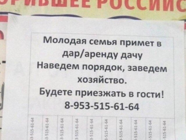 Смешные любители халявы в Интернете (13 фото)