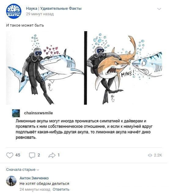 Смешные комментарии к постам в социальных сетях (15 фото)