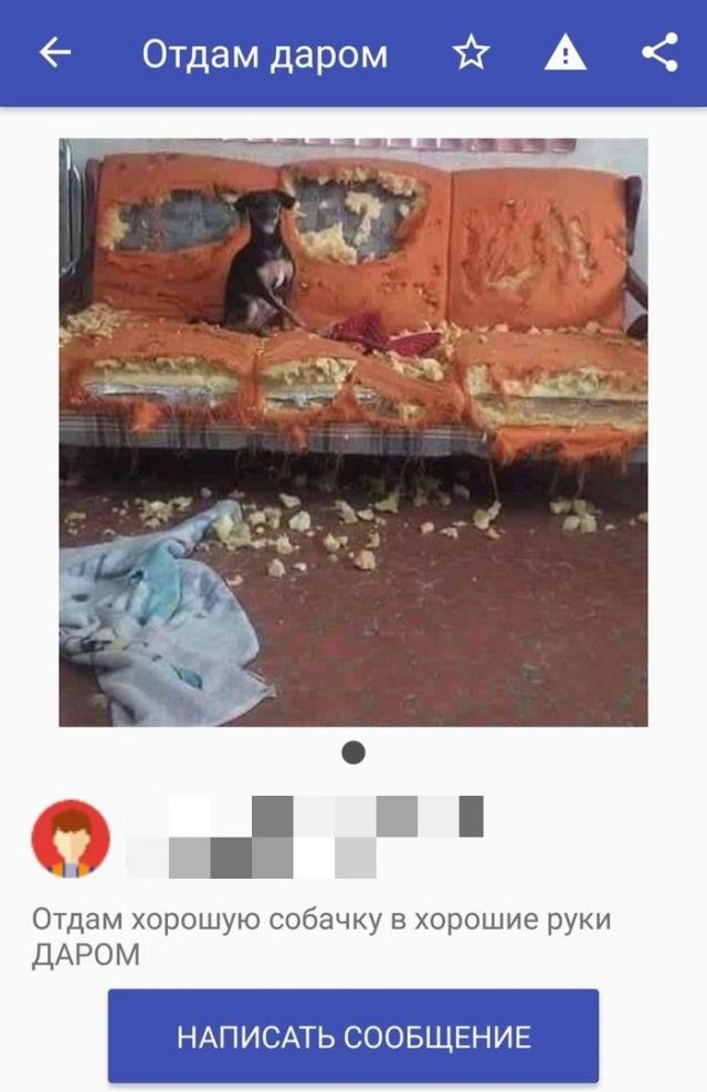 Смешные любители халявы в Интернете (13 фото)