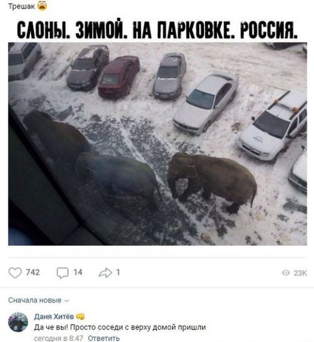Смешные комментарии к постам в социальных сетях (15 фото)