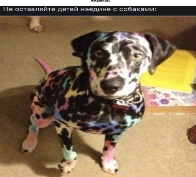 Шутки и истории про "яжматерей" (15 фото)