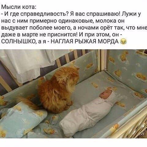 Шутки и истории про "яжматерей", детей и семейные отношения (15 фото)