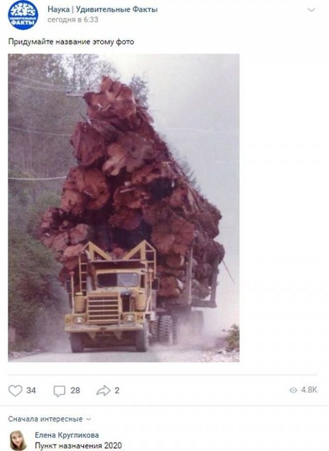 Смешные комментарии к постам в социальных сетях (15 фото)