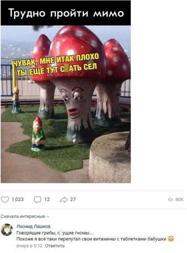 Смешные комментарии к постам в социальных сетях (15 фото)