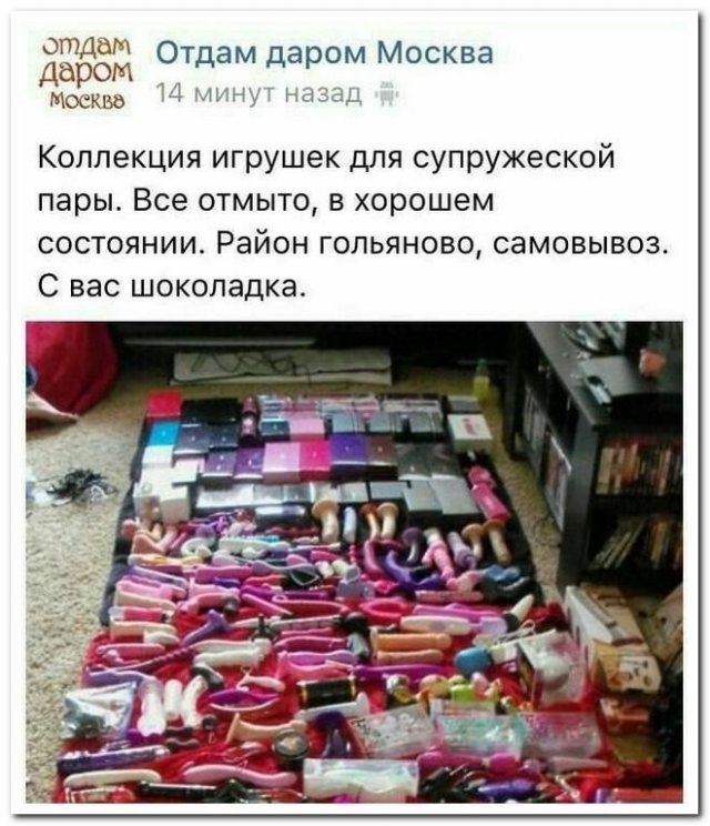 Смешные любители халявы в Интернете (13 фото)