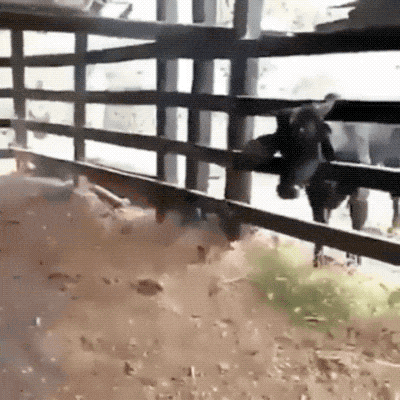 Гифки с эпичными фейлами (15 гифок)