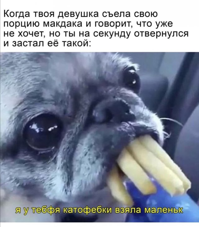 Шутки про современных девушек (15 фото)