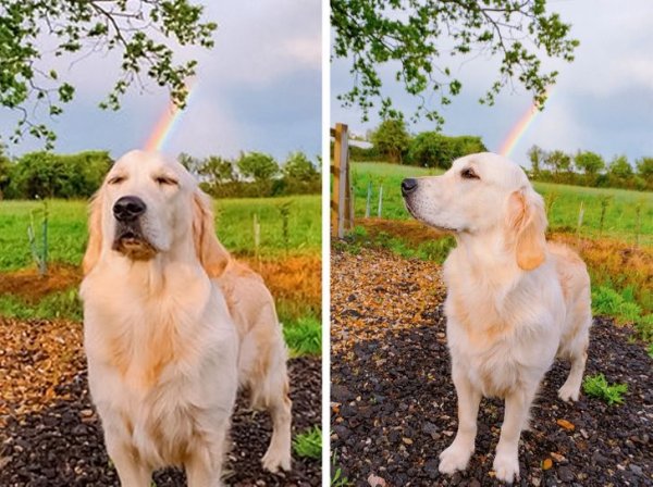 Всемогущая сила ракурса (15 фото) Всемогущая сила ракурса (15 фото)