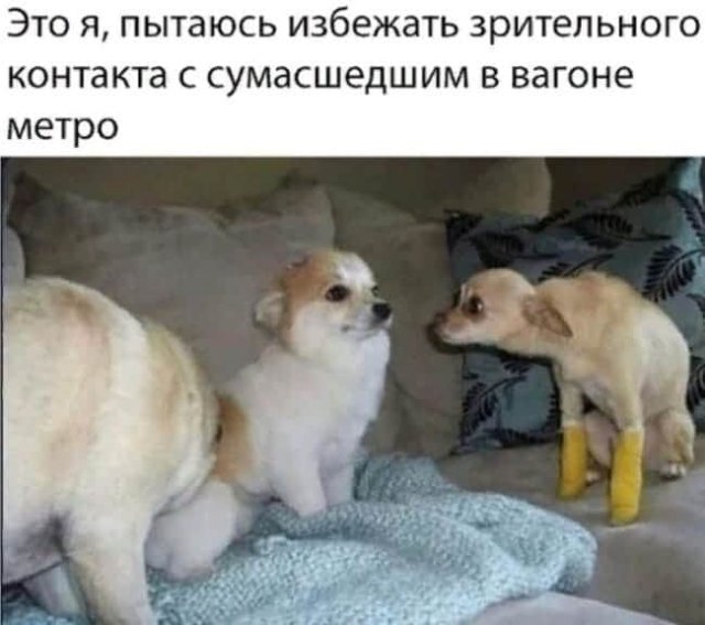 Шутки и мемы из Сети (10 фото)