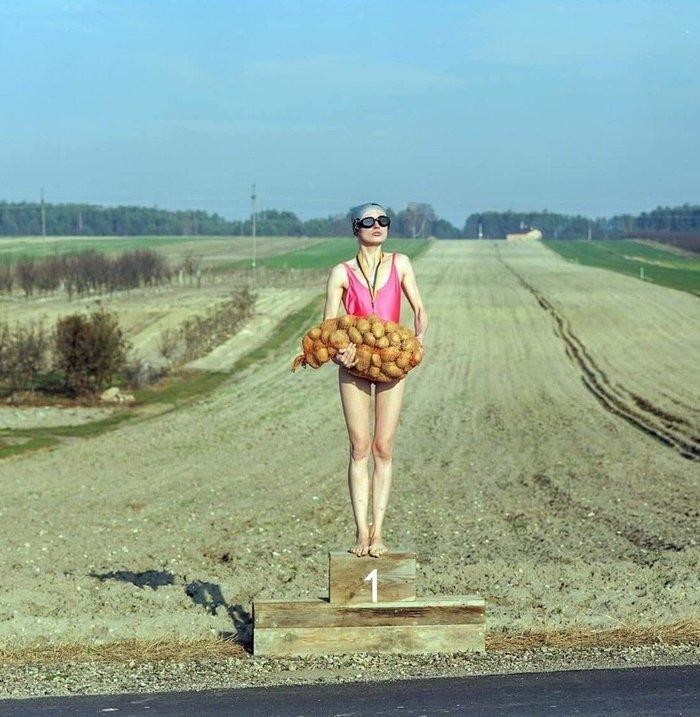 Беларусь до 9 августа: пост о глупых новостях, самоиронии и картохе (19 фото)