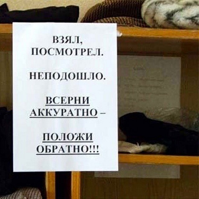 Ошибки странности в словах и предложениях, над которыми не стыдно посмеяться (10 фото)
