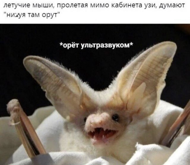 Забавные шутки и мемы из Сети (15 фото)