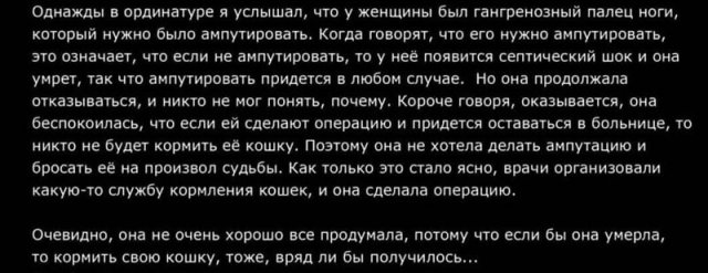 Безумие, которое пишут и обсуждают девушки (14 фото)