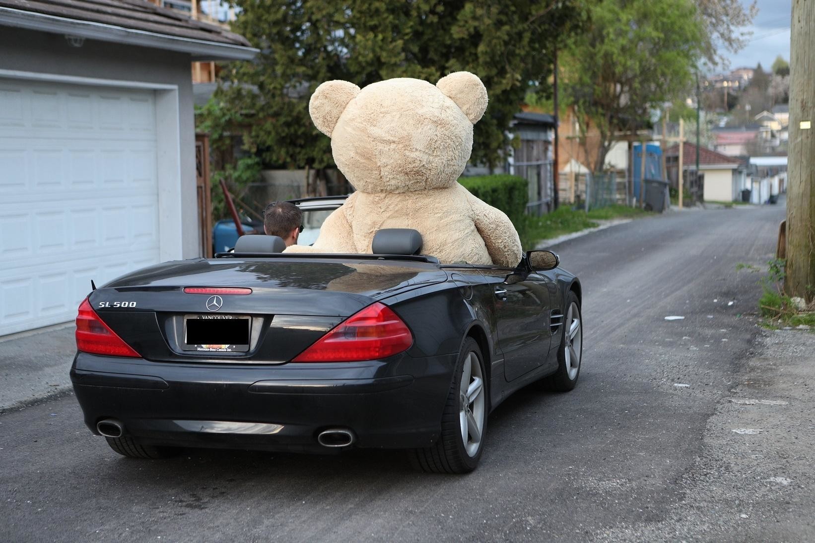 9 причин почему девушки любят огромных плюшевых медведей (20 фото) 9 причин почему девушки любят огромных плюшевых медведей (20 фото)