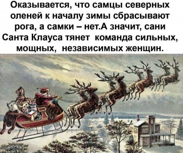 Шутки и мемы из Сети (14 фото)