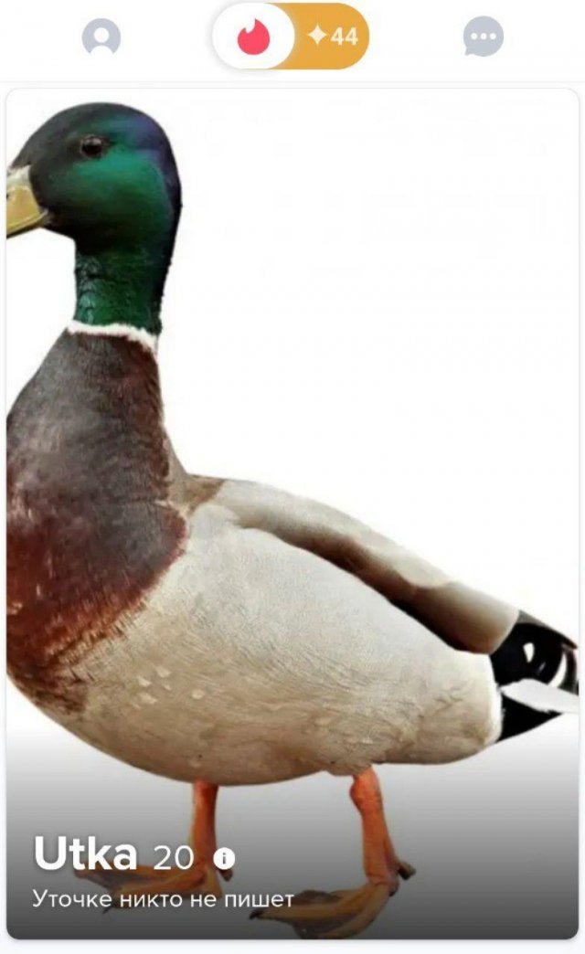 Одинокие люди желают познакомиться (12 фото) Одинокие люди желают познакомиться (12 фото)