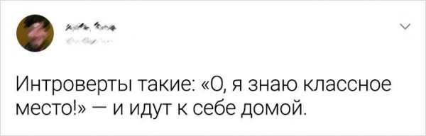 Подборка забавных твитов от интровертов (18 фото) Подборка забавных твитов от интровертов (18 фото)