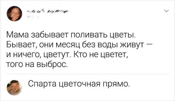 Подборка забавных комментариев с просторов Сети (18 фото)