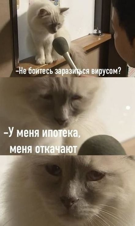 Приколы и шутки про ипотеку (13 фото)