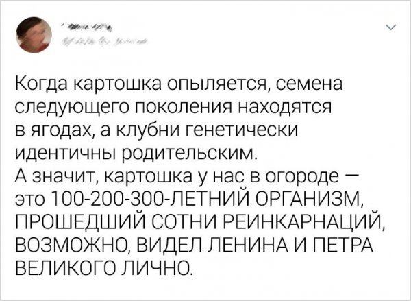 Подборка забавных твитов (20 фото)