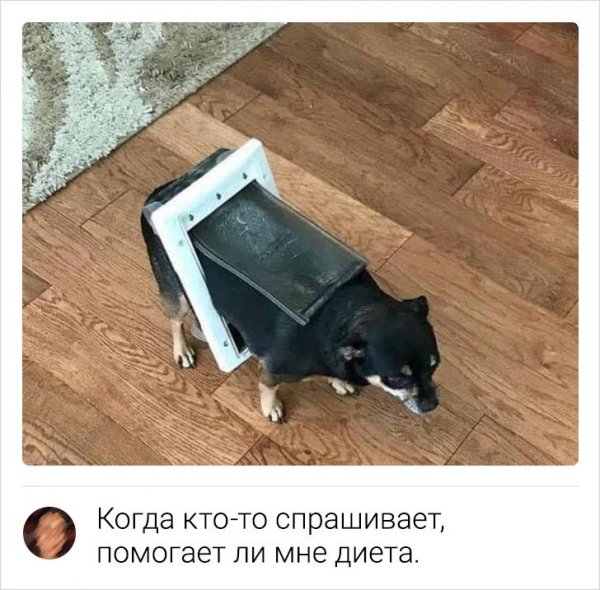 Подборка забавных комментариев с просторов Сети (18 фото)