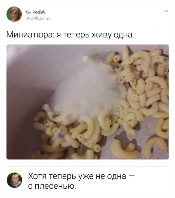 Подборка забавных твитов (20 фото)