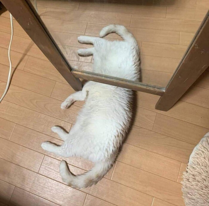 Фото с открытия кирпичного завода, или опять показалось (20 фото)