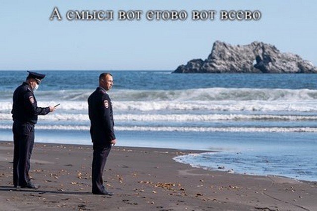 Задумчивые полицейские у Тихого океана стали героями соцсетей (13 фото)