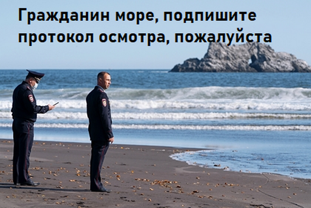 Задумчивые полицейские у Тихого океана стали героями соцсетей (13 фото)