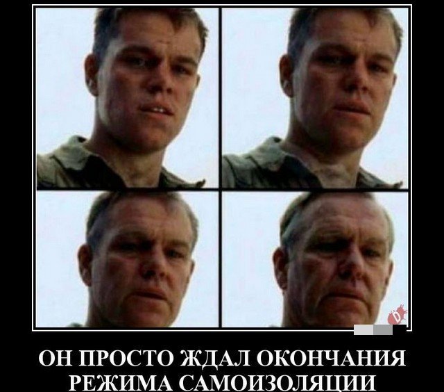 Мэтт Дэймон отмечает 50-летие: лучшие мемы с любимым актером (16 фото)