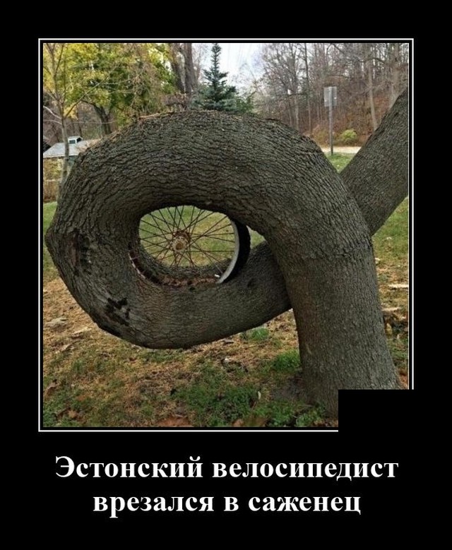 Демотиваторы 2492 Демотиваторы 2492