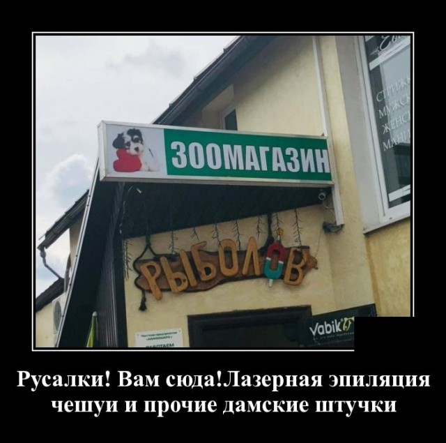 Демотиваторы 2490 Демотиваторы 2490