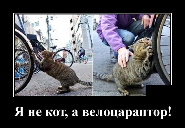 Демотиваторы 2490 Демотиваторы 2490