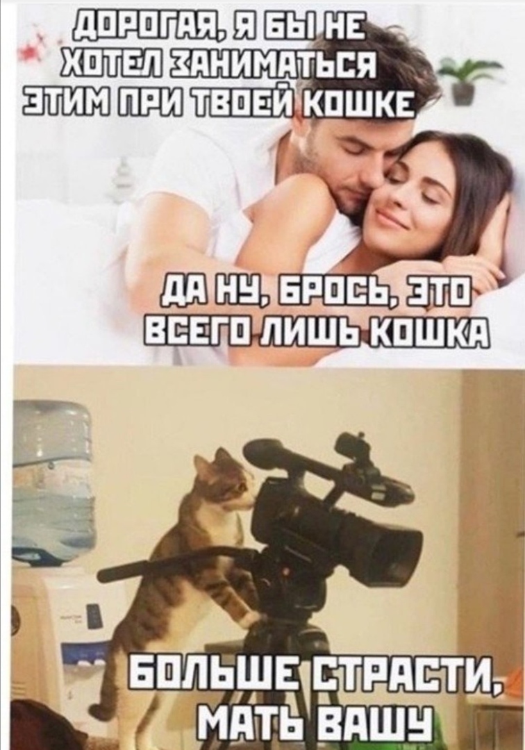 Приколы про современных девушек (15 фото)