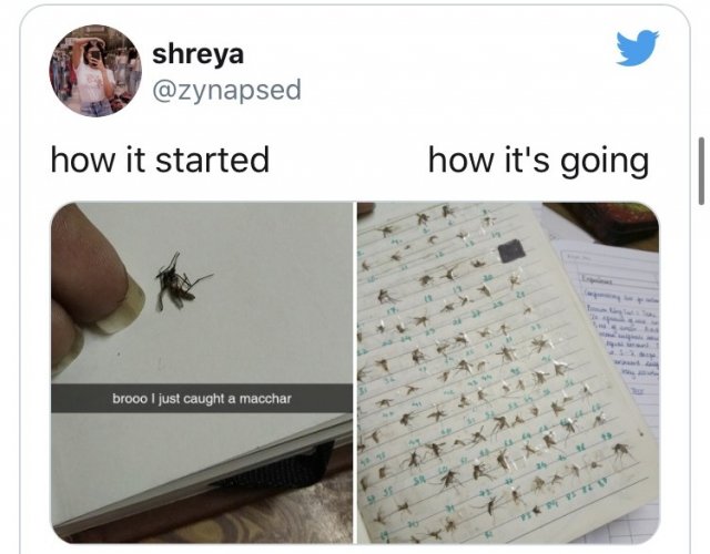 Новый флешмоб How it started/How it's going (15 фото)