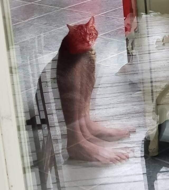 Фото с открытия кирпичного завода, или опять показалось (20 фото)