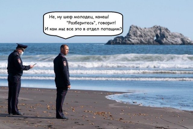 Задумчивые полицейские у Тихого океана стали героями соцсетей (13 фото)