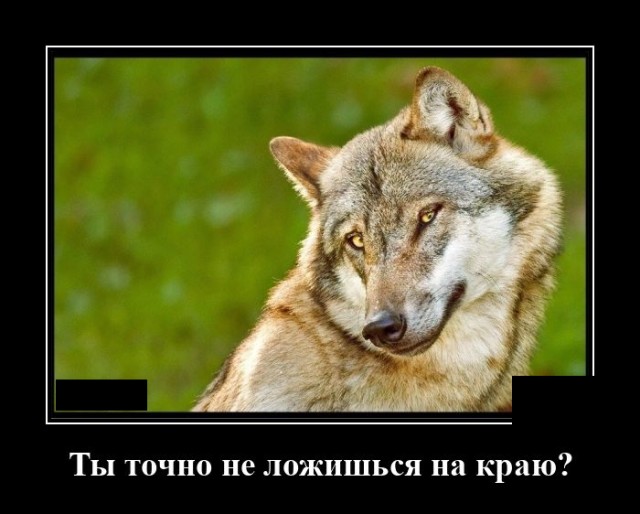 Демотиваторы 2492 Демотиваторы 2492