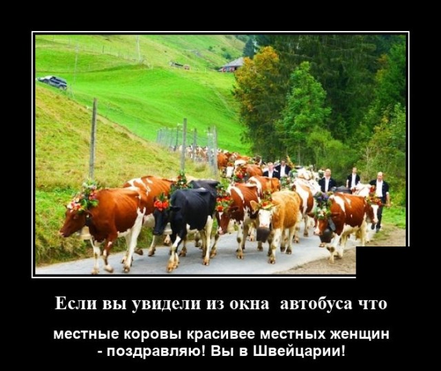 Демотиваторы 2492 Демотиваторы 2492