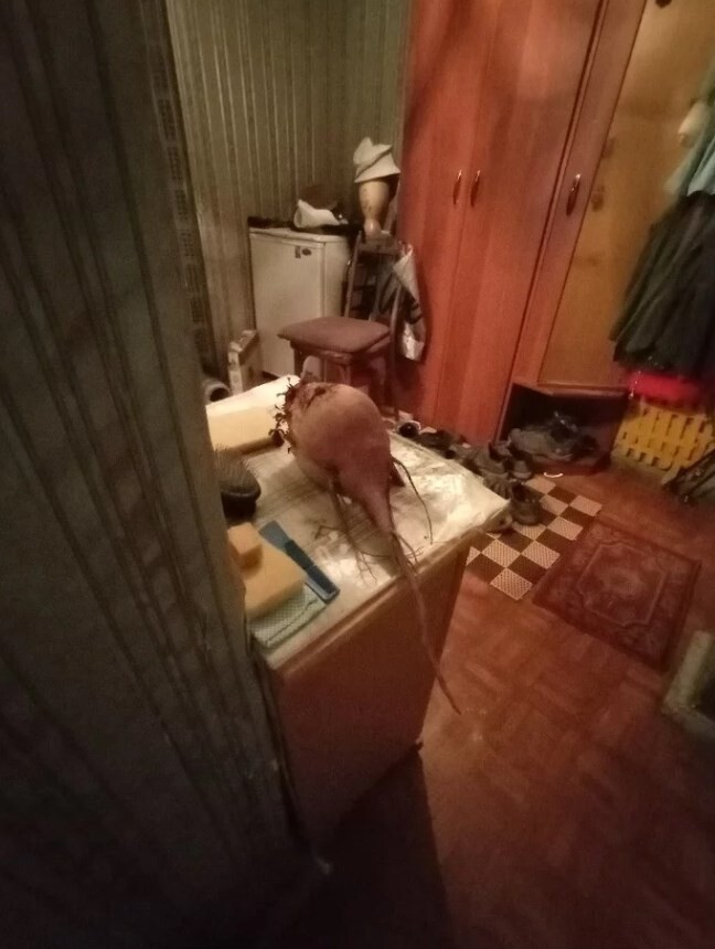 Фото с открытия кирпичного завода, или опять показалось (20 фото)