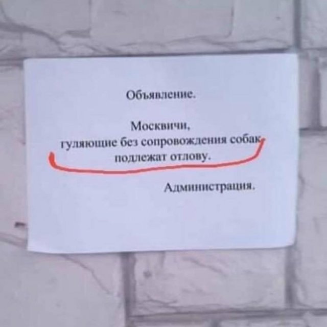 Ошибки, связанные с флорой и фауной (10 фото)