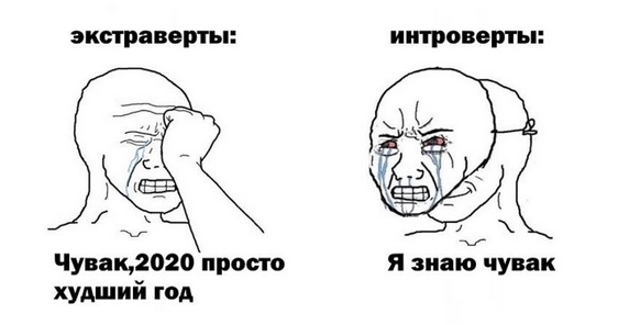 2020 год – лучший год... для интровертов и социофобов (17 фото) 2020 год – лучший год... для интровертов и социофобов (17 фото)