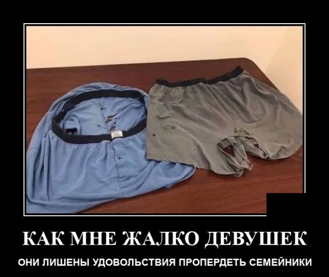 Демотиваторы 2490 Демотиваторы 2490